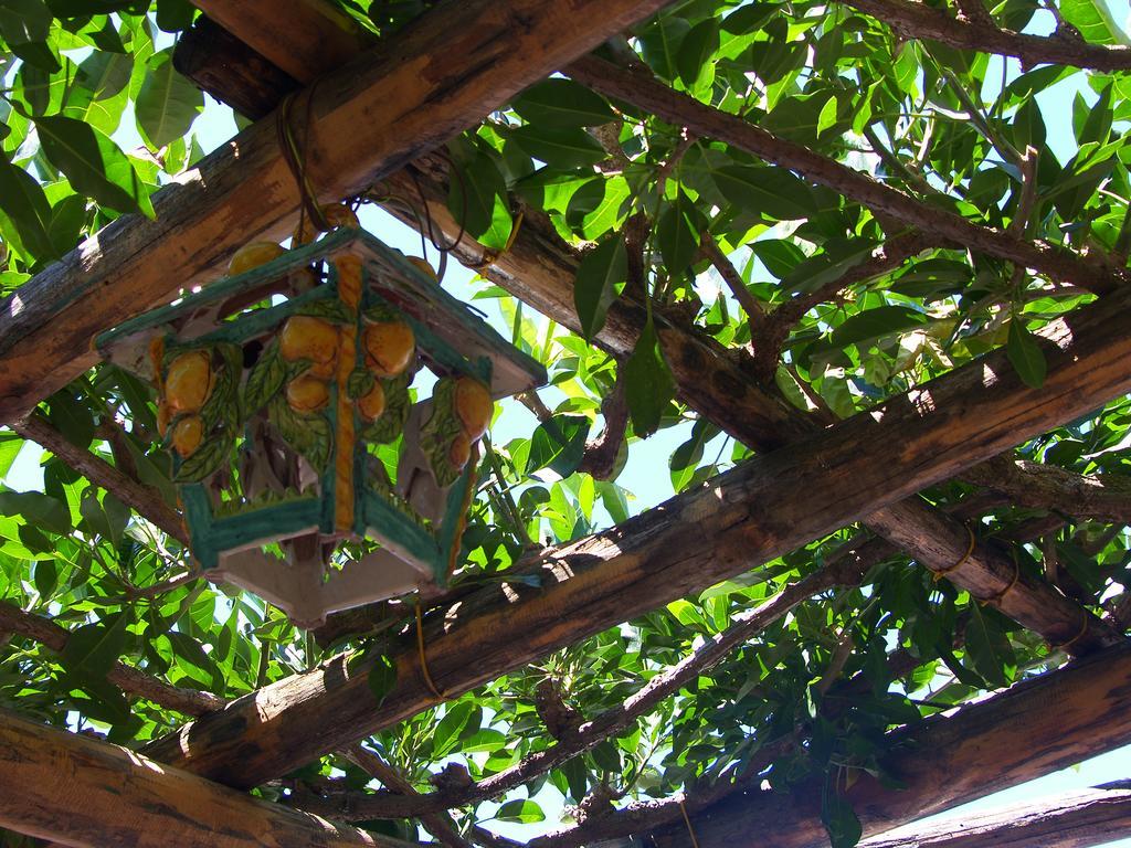 Locanda Degli Agrumi Conca dei Marini Exteriör bild