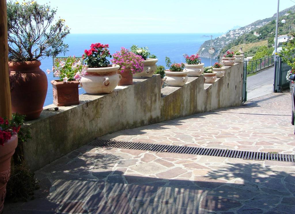 Locanda Degli Agrumi Conca dei Marini Exteriör bild